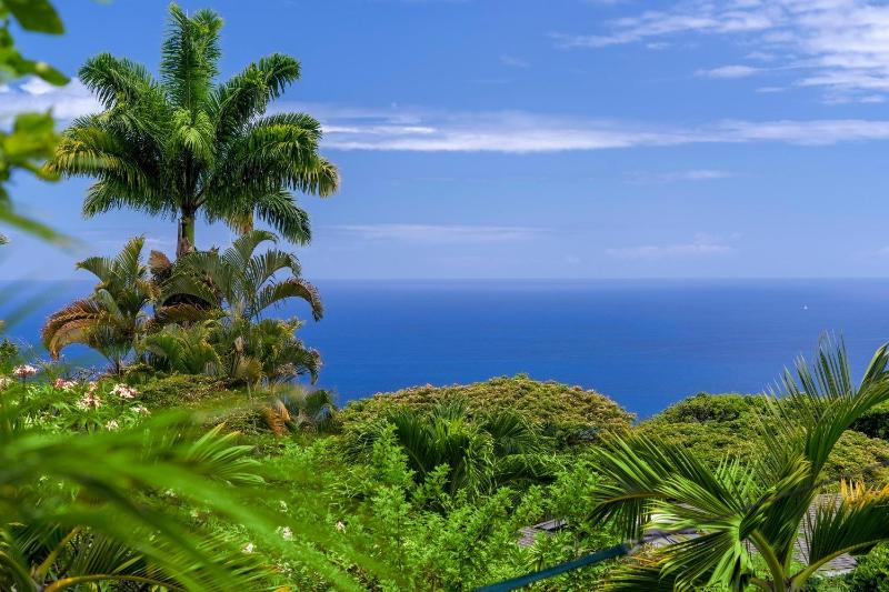 Koana Breeze - image 2