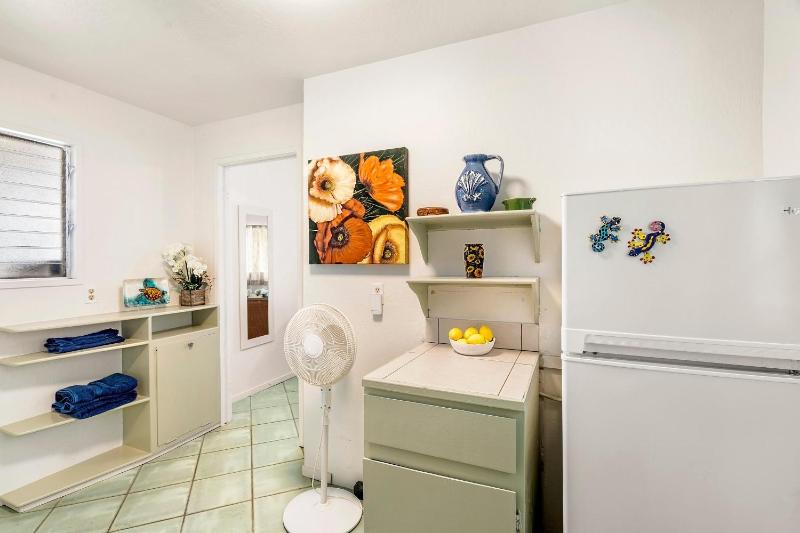 Koana Breeze - image 30