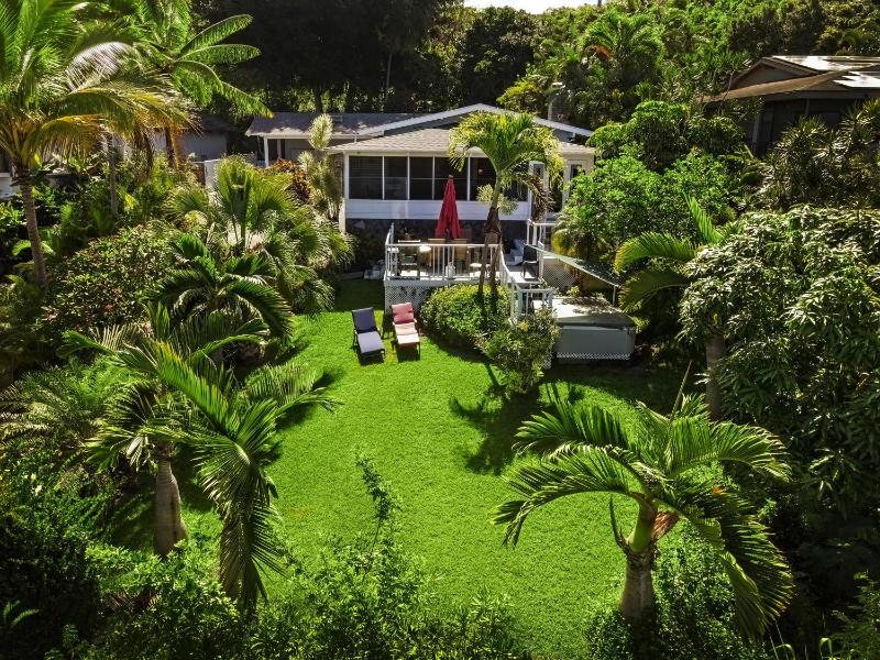 Koana Breeze - image 43