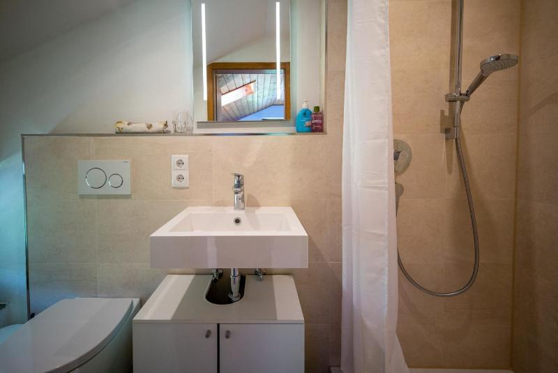 One-Bedroom Apartment image 3