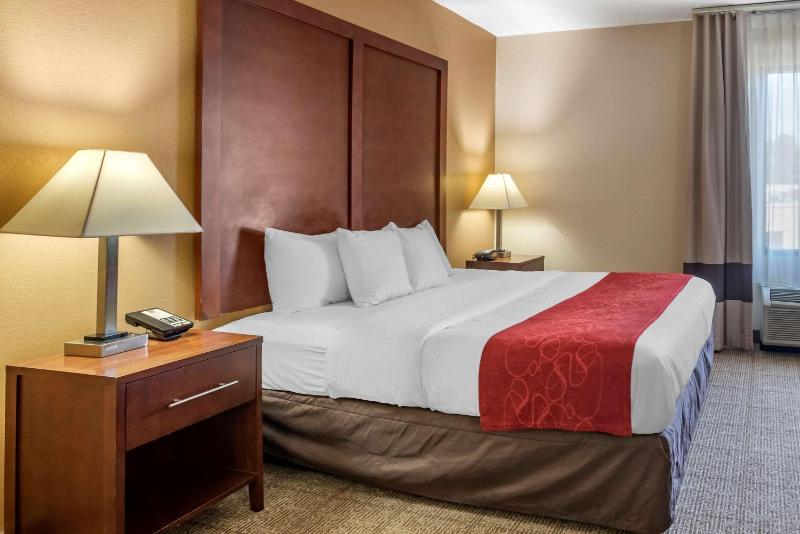 Deluxe King Suite - Non-Smoking image 2