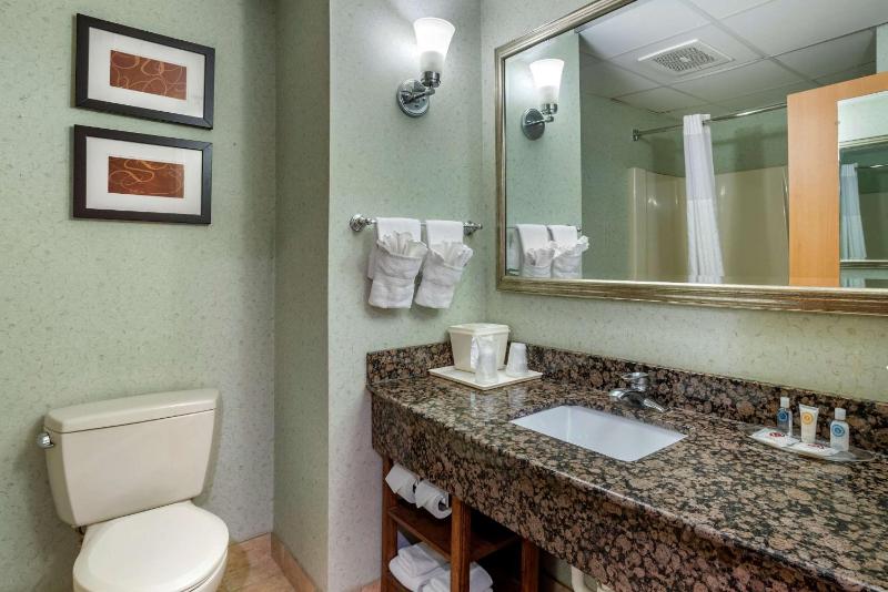 Deluxe King Suite - Non-Smoking image 1