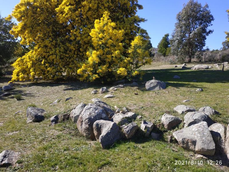 Las Golondrinas - image 11