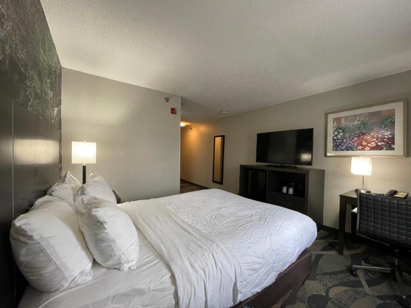 King Room - Non-Smoking image 3