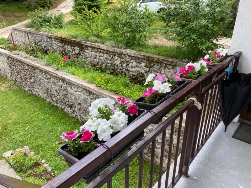 One-Bedroom Apartment with Balcony image 4