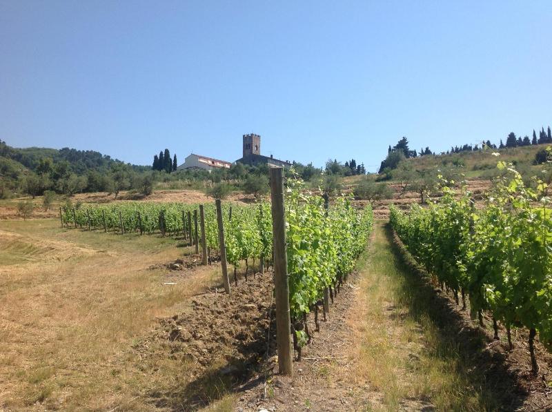 Villa Sardini - image 18