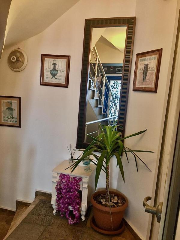 La Petite Sultanahmet Terrace Hotel - image 12