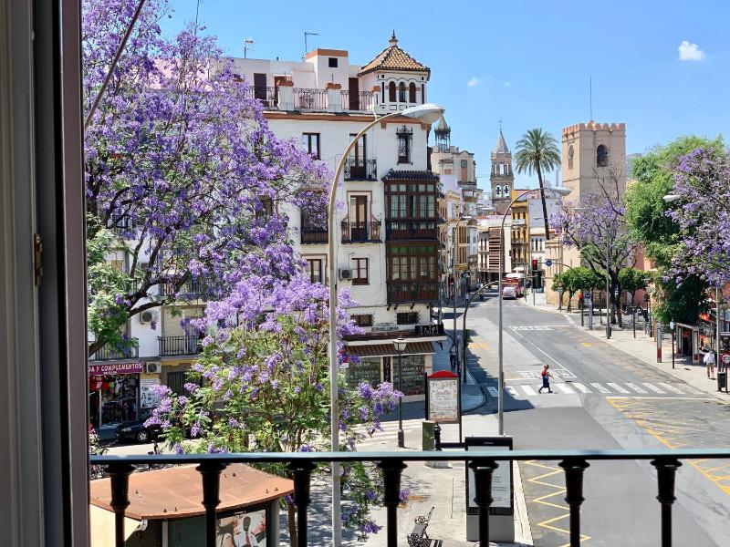 Hotel Doña Blanca - image 15