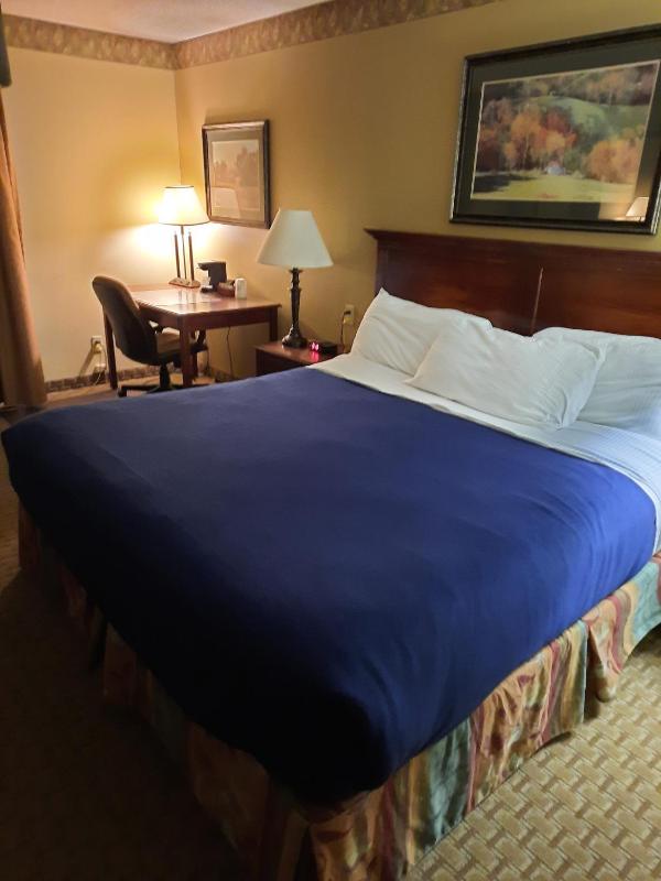 Standard King Room image 3