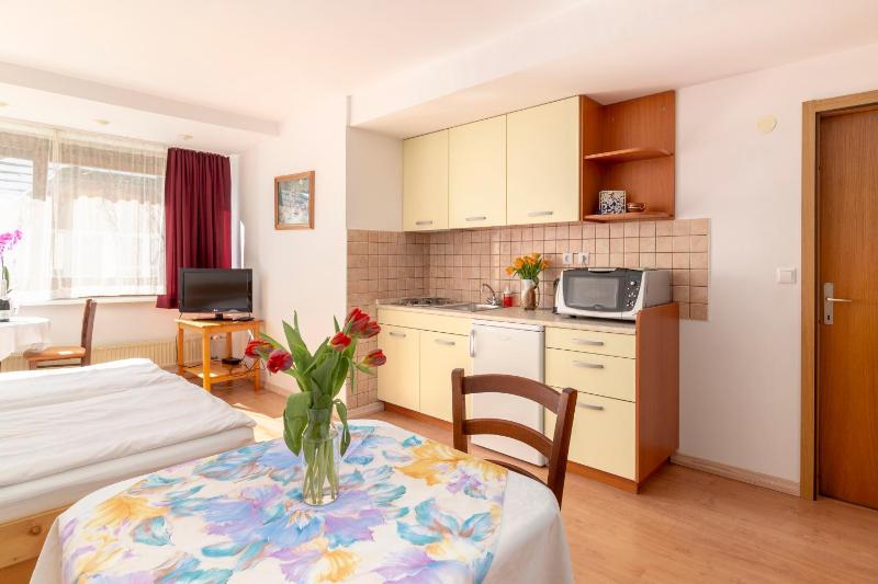 Studio Apartment image 4