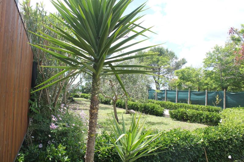 Rifa b&b - image 31
