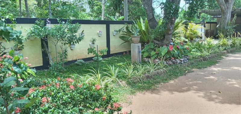 Water Front Home Stay and Resort - image 7