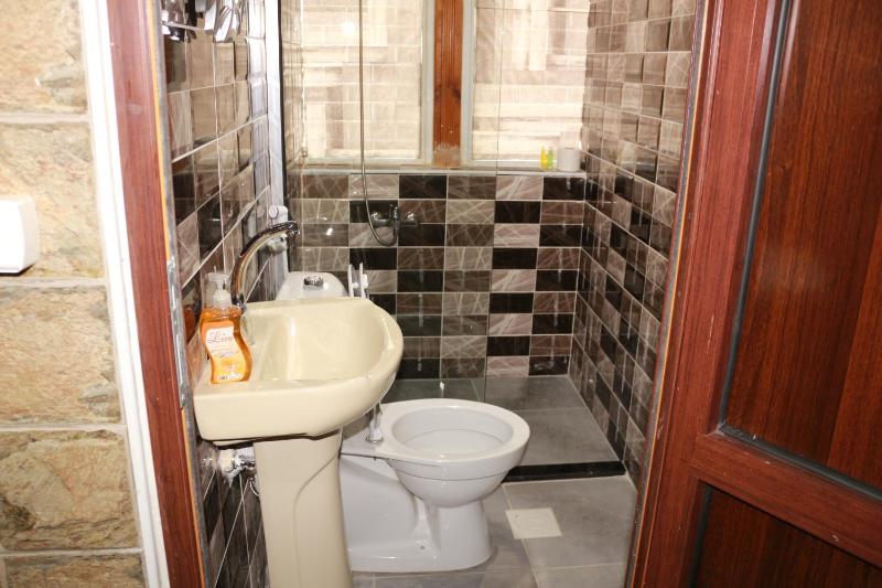 Basant Villa - image 12