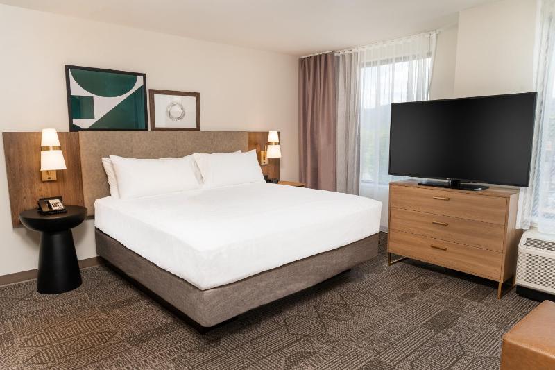 King Studio Suite image 2