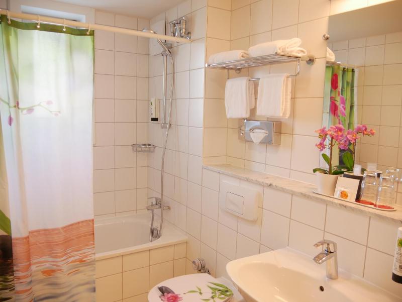 Business Single Room image 2