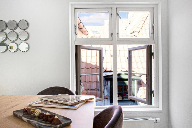 Regent 5 - Large Apt with Terrace right in Centre of Copenhagen - image 8