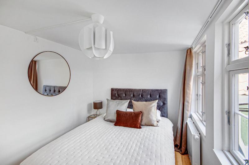 Regent 5 - Large Apt with Terrace right in Centre of Copenhagen - image 5