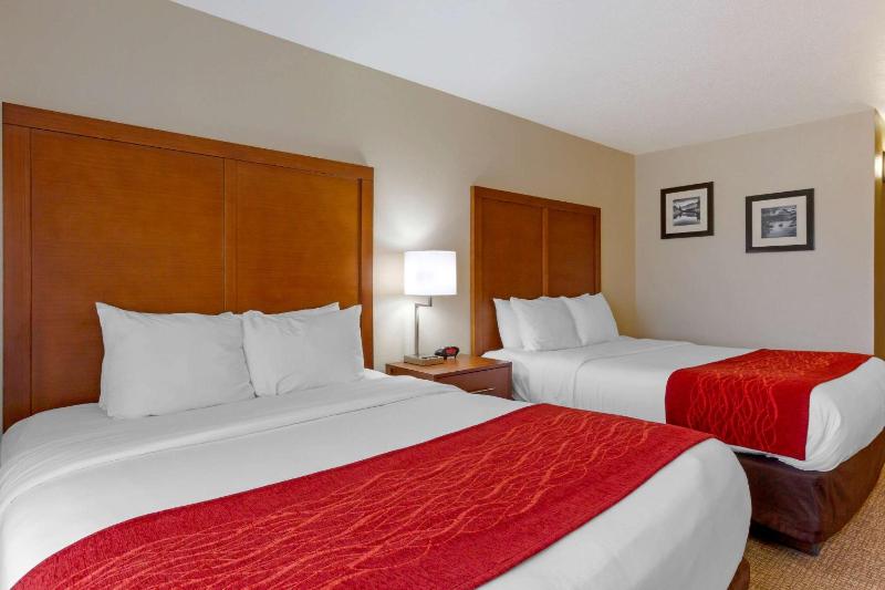 Queen Room with Two Queen Beds - Non-Smoking image 3