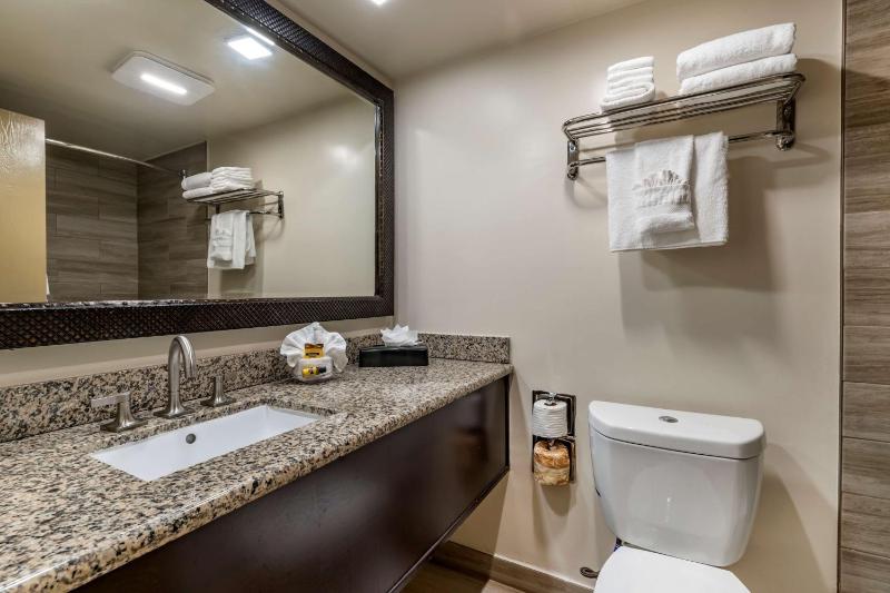 King Room with Bath Tub - Disability Access image 4