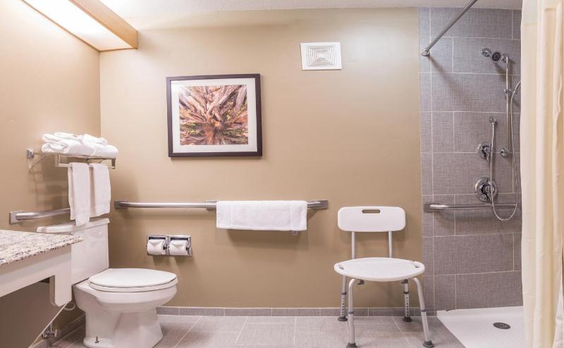 Deluxe Queen room with Roll-In Shower image 2
