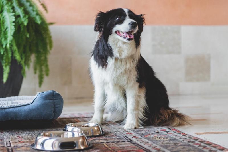 Double or Twin Room image 2