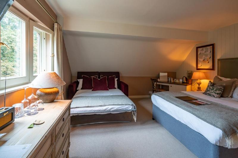 Executive Family Room (2 Adults 2 Children) image 3