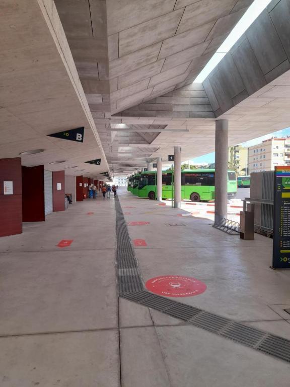 Alfa Omega (VALLE-LUZ) - image 2