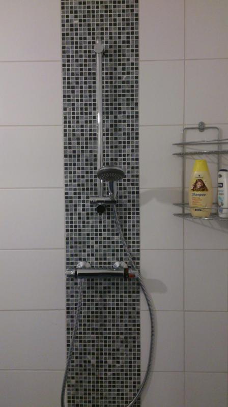 Two-Bedroom Apartment image 4