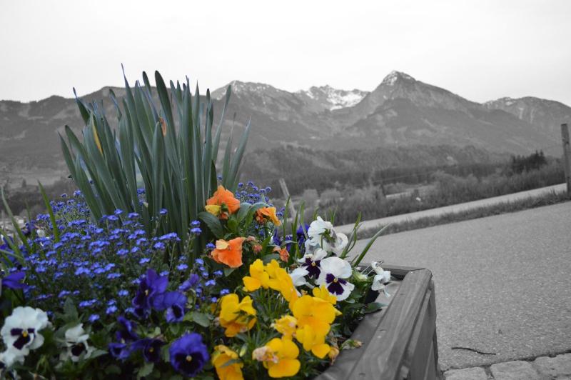 Hotel Alpenblick - image 14
