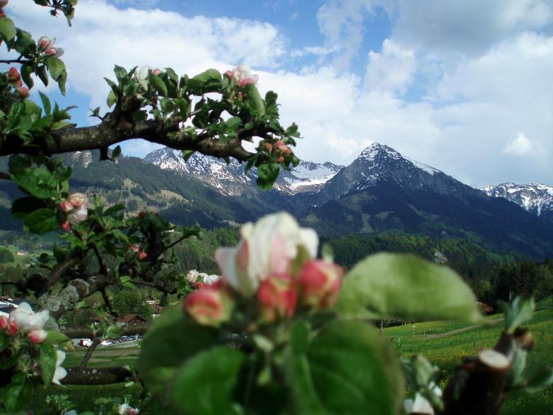 Hotel Alpenblick - image 9