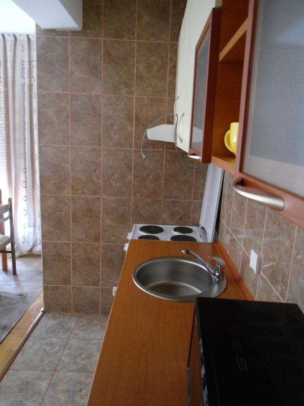 One-Bedroom Apartment image 2