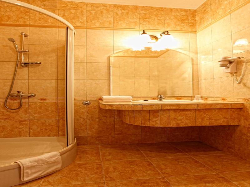 Double or Twin PLUS Room image 1