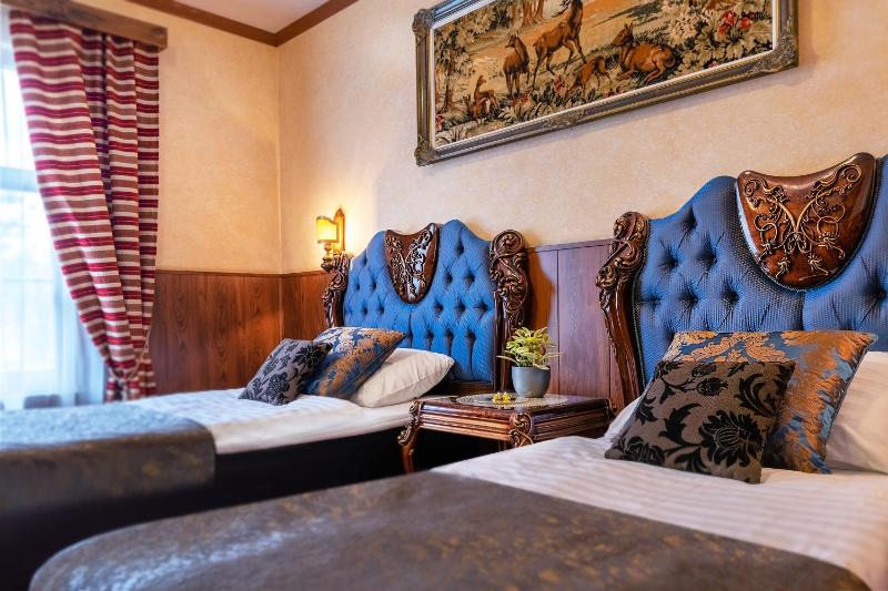 Superior Double or Twin Room image 4