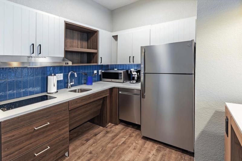 King Studio Suite image 3