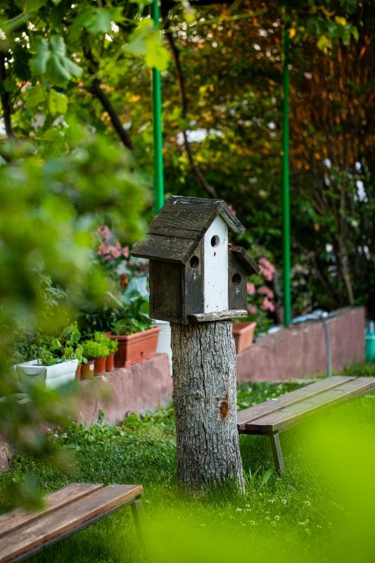 Cherry Villa - image 42