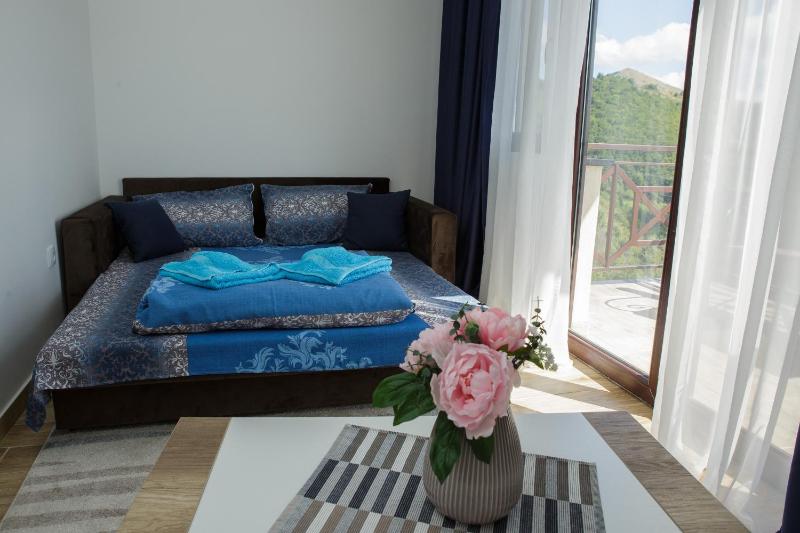 Dvori Sky View E13 Kopaonik - free private parking - image 2
