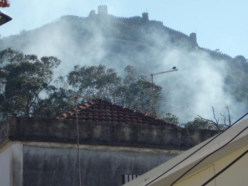 Casa de Hospedes D. Maria Parreirinha - image 9