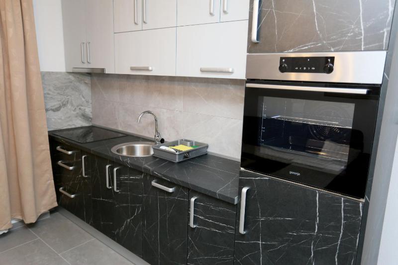 Two-Bedroom Apartment image 4
