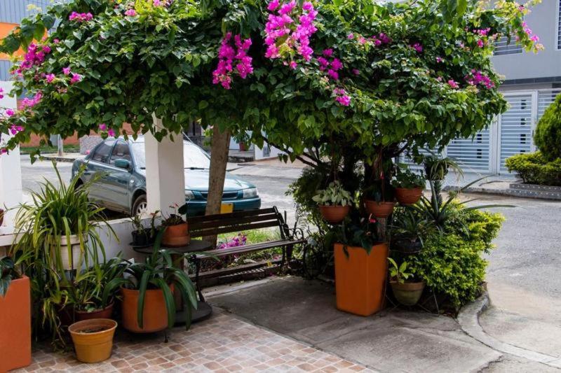 Hotel Caney Ayenda 1422 - image 13