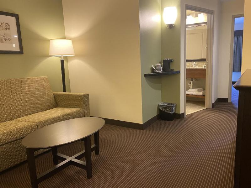 One-Bedroom Superior King Suite - Non-Smoking image 2