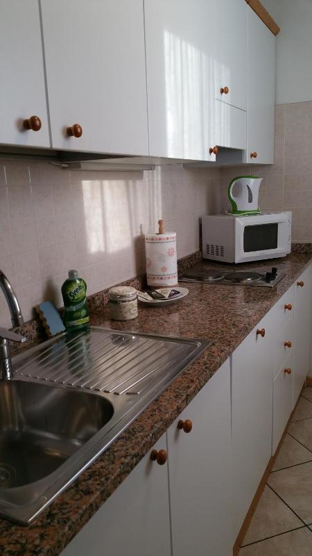 One-Bedroom Apartment (4 Adults) image 2