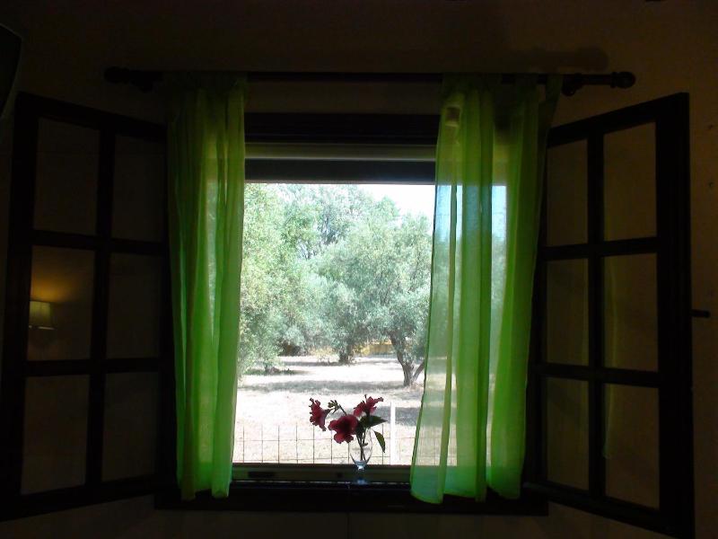 Marianthi Studios - image 7