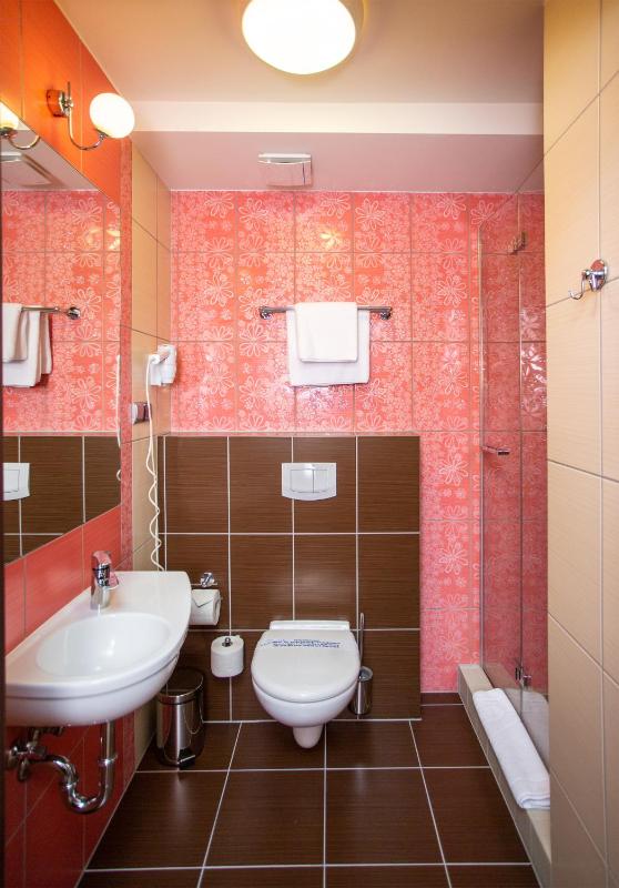 Deluxe Single Room image 2