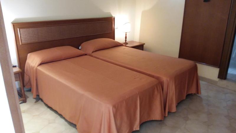 Double or Twin Room image 4