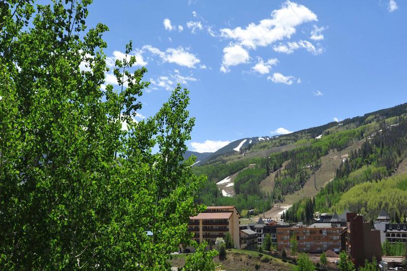 Three-Bedroom Apartment image 2