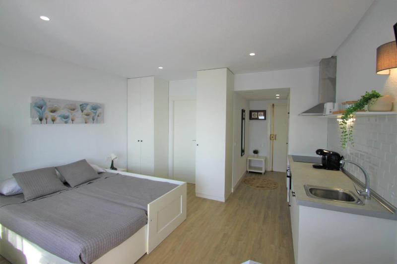Estudio CasaTuris en planta 18 en pleno centro de Alicante A106 - image 12
