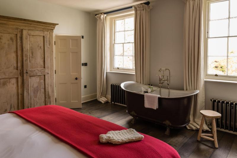 Deluxe King Room image 2