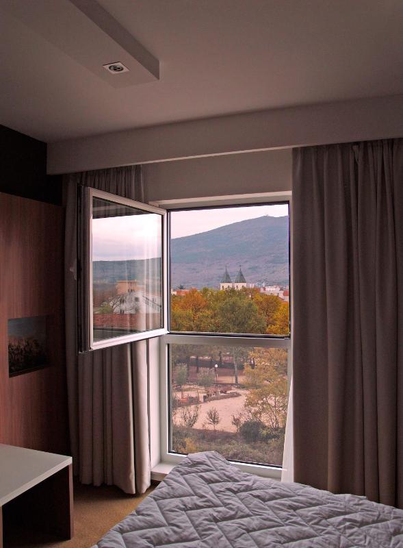 Standard Twin Room image 3
