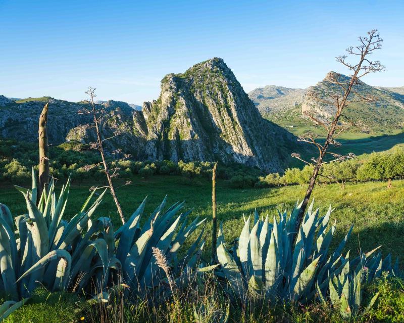 Hotel La Fuente de la Higuera - image 13