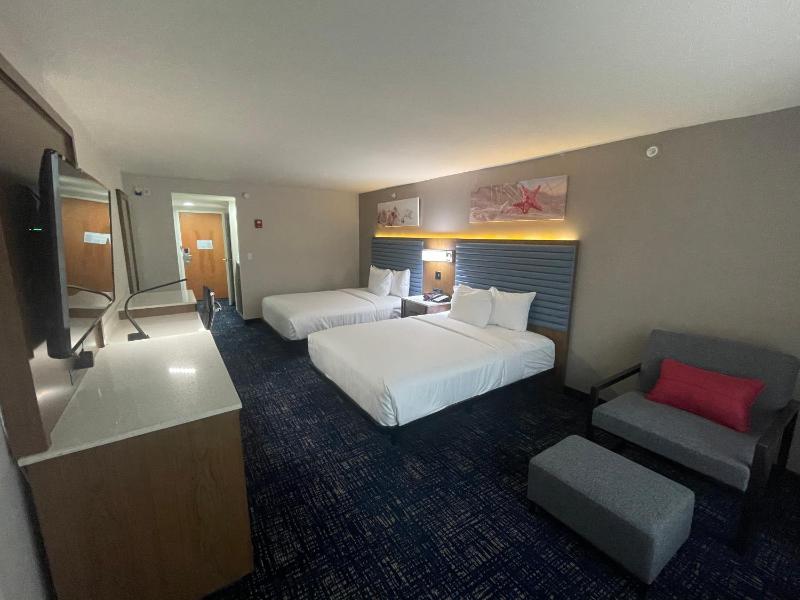 King Room - Non-Smoking image 1